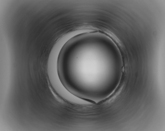 X0000115280849200911061326