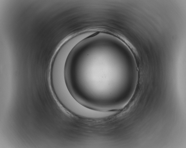 X0000115280853200911061326