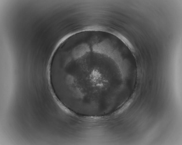 X0000115280854200911061326