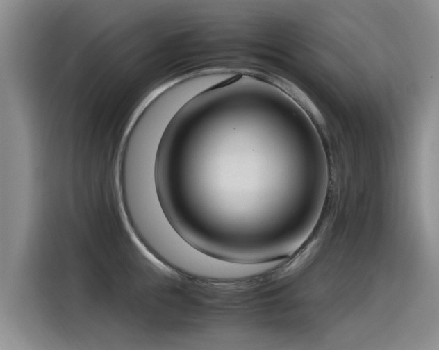 X0000115280855200911061326