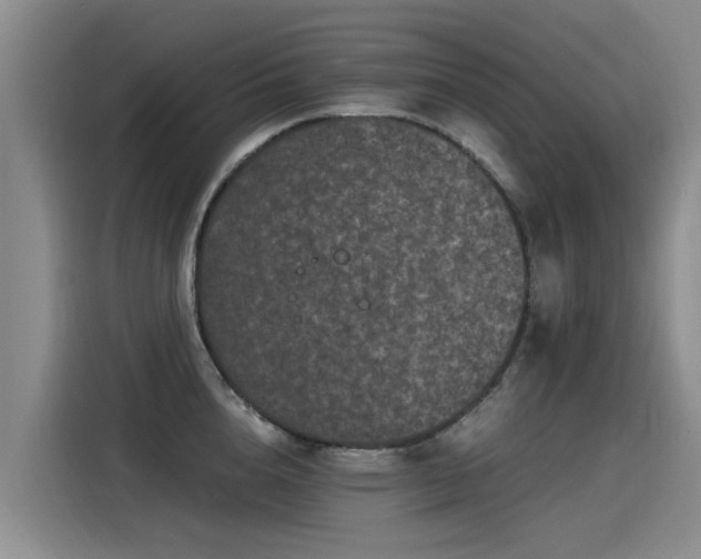 X0000115280856200911061326