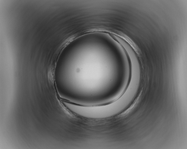 X0000115280857200911061326