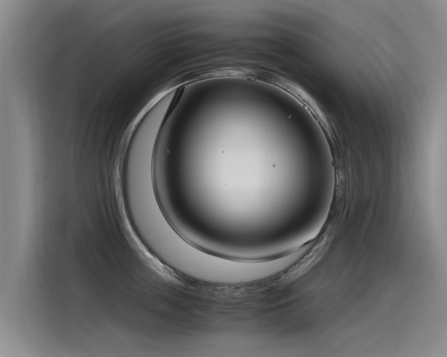 X0000115280859200911061326
