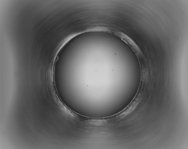 X0000115280860200911061326