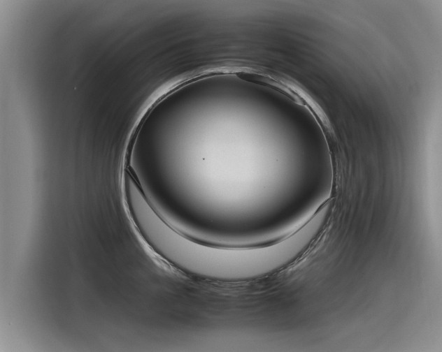 X0000115280861200911061326