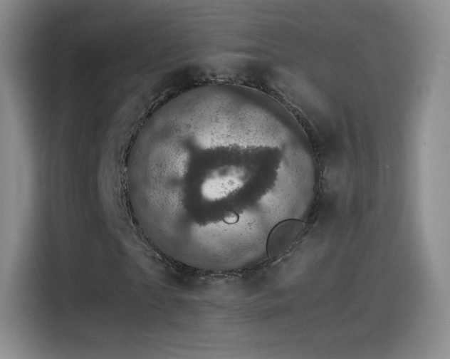 X0000115280865200911061326