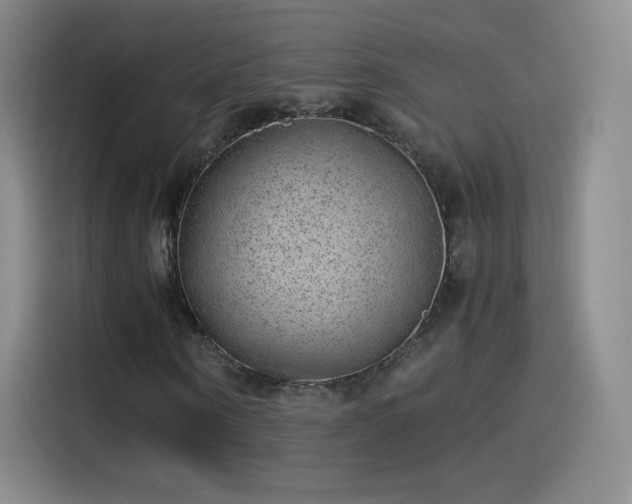 X0000115280866200911061326