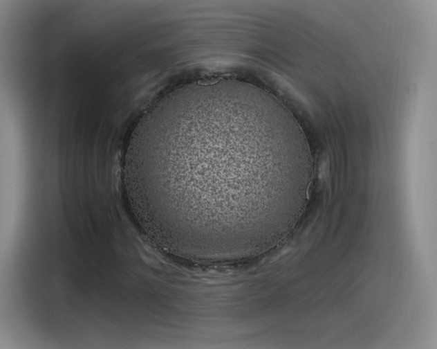X0000115280868200911061326