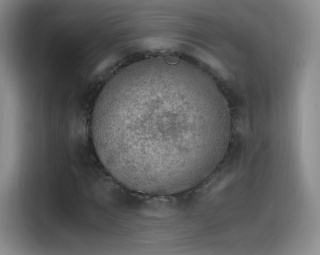 X0000115280869200911061326