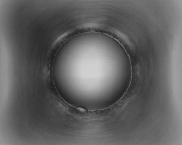 X0000115280872200911061326