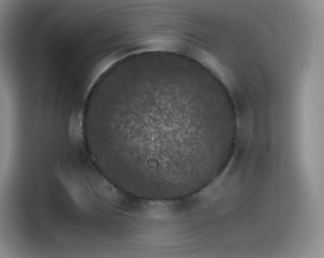 X0000115280875200911061326