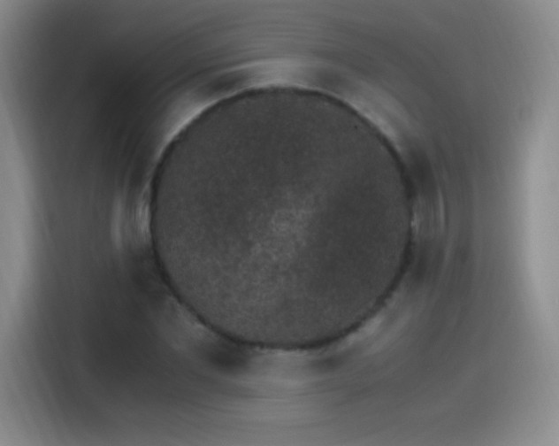 X0000115280877200911061326