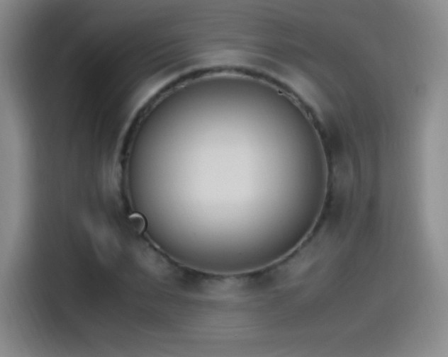 X0000115280879200911061326