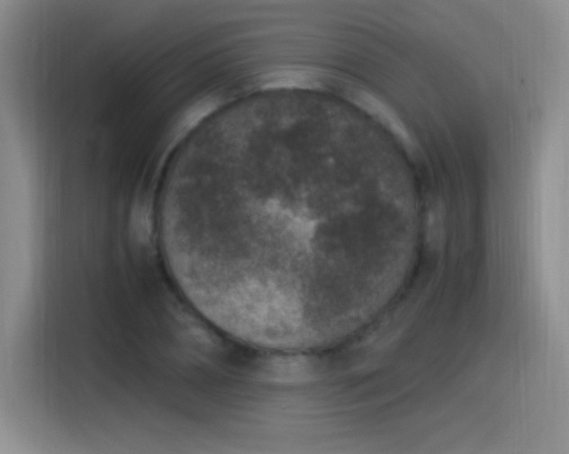 X0000115280882200911061326