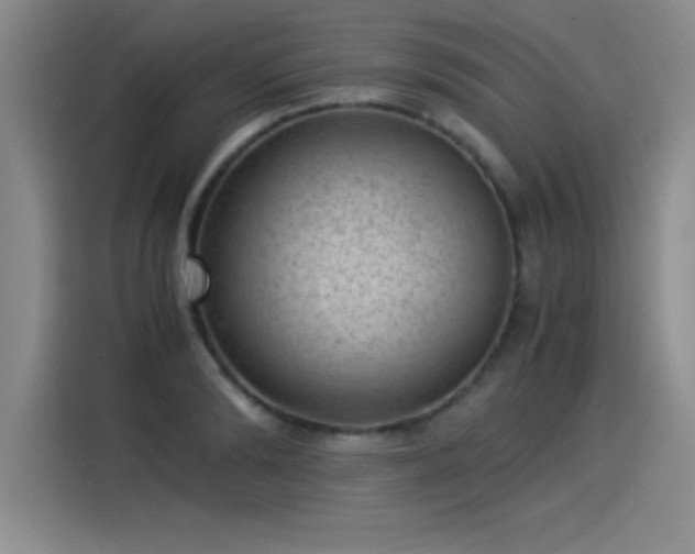 X0000115280894200911061325