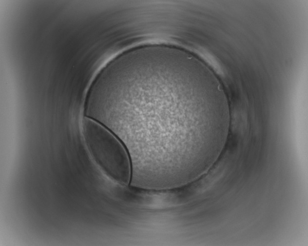 X0000115280895200911061325