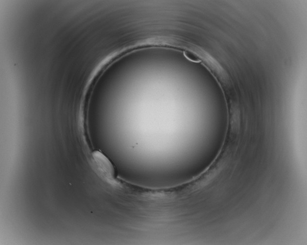 X0000115280896200911061325