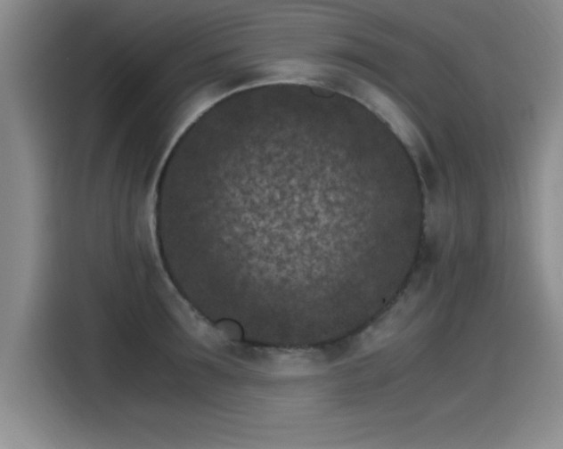 X0000115280899200911061325