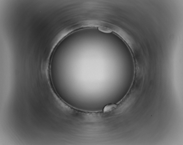 X0000115280901200911061325