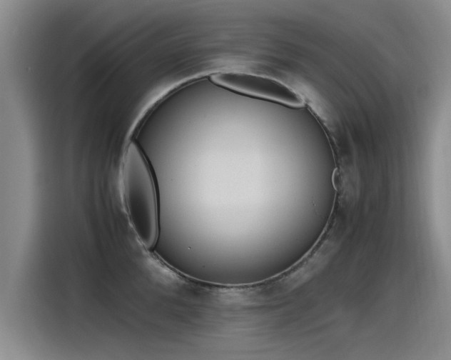 X0000115280904200911061325