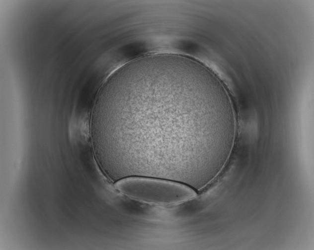 X0000115280905200911061325