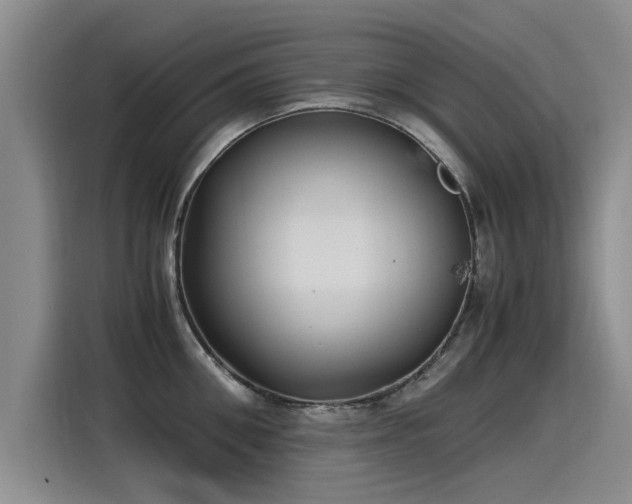 X0000115280906200911061325