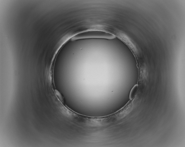 X0000115280908200911061325