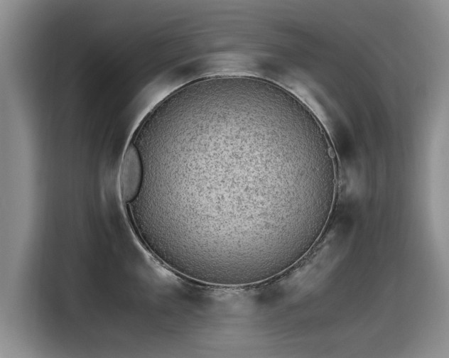 X0000115280909200911061325