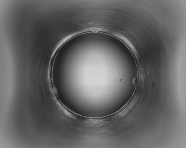 X0000115280910200911061325