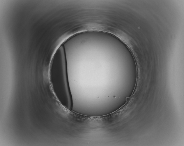 X0000115280912200911061325