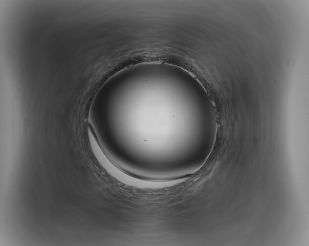 X0000115280913200911061324