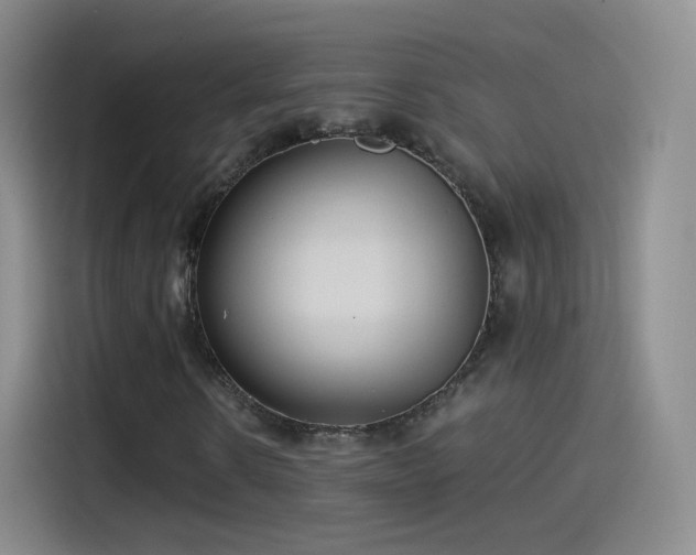 X0000115280914200911061324
