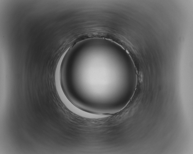 X0000115280915200911061325