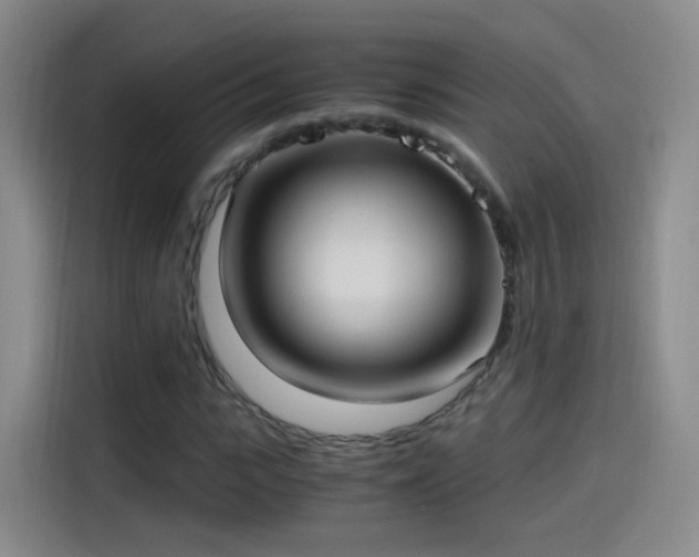 X0000115280919200911061325