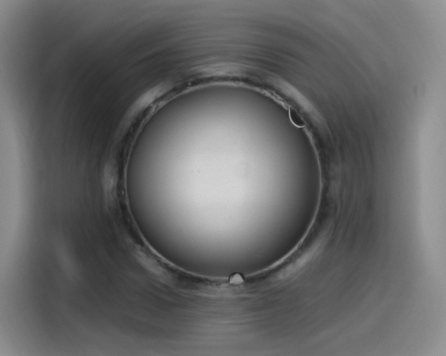 X0000115280922200911061325
