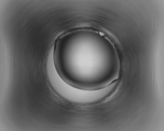 X0000115280929200911061325