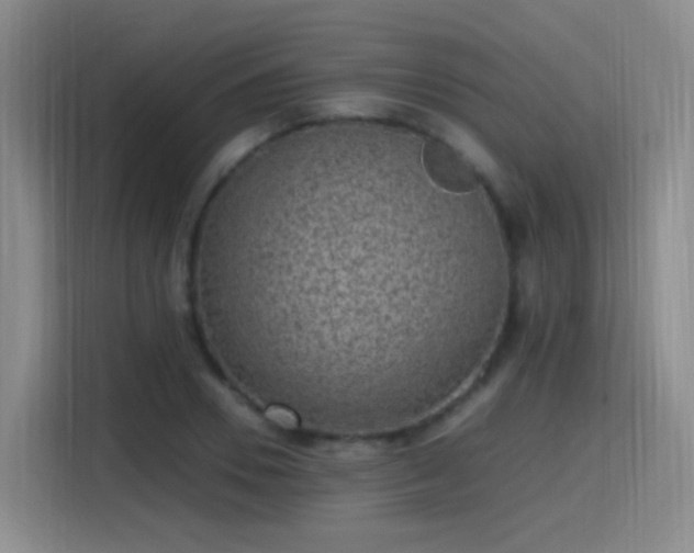 X0000115280930200911061325