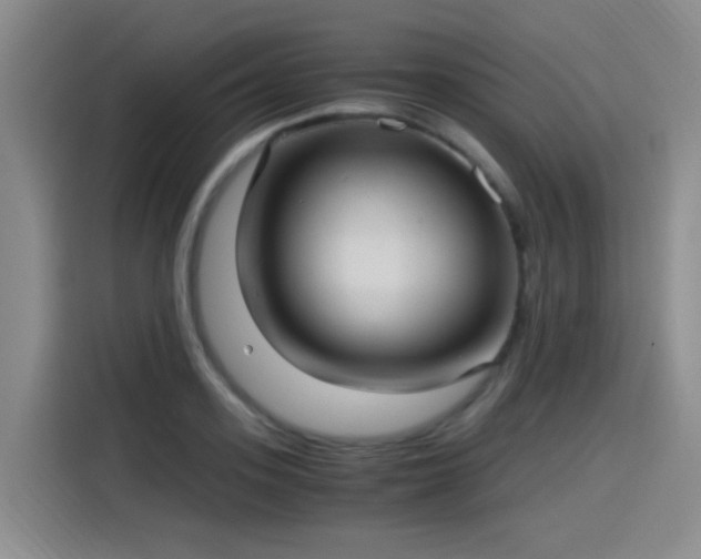 X0000115280939200911061325