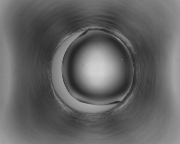 X0000115280945200911061325