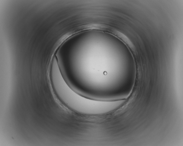 X0000115280946200911061325
