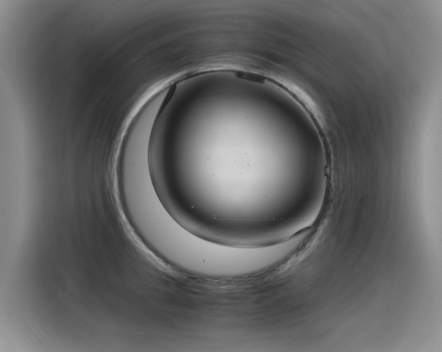 X0000115280949200911061325