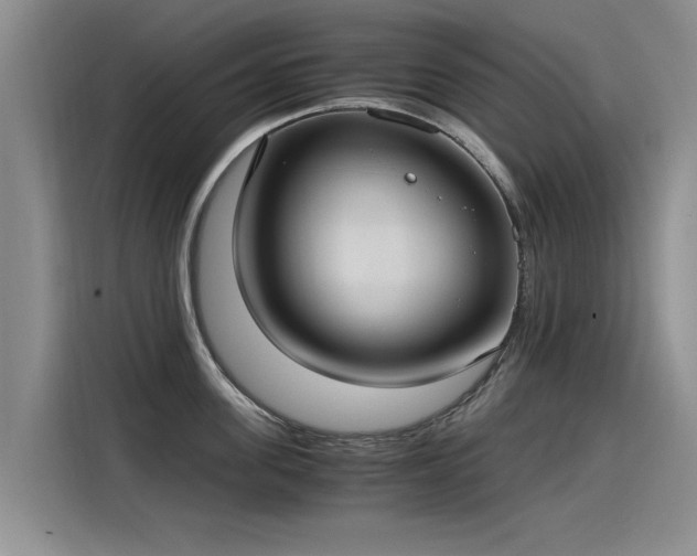 X0000115280955200911061325
