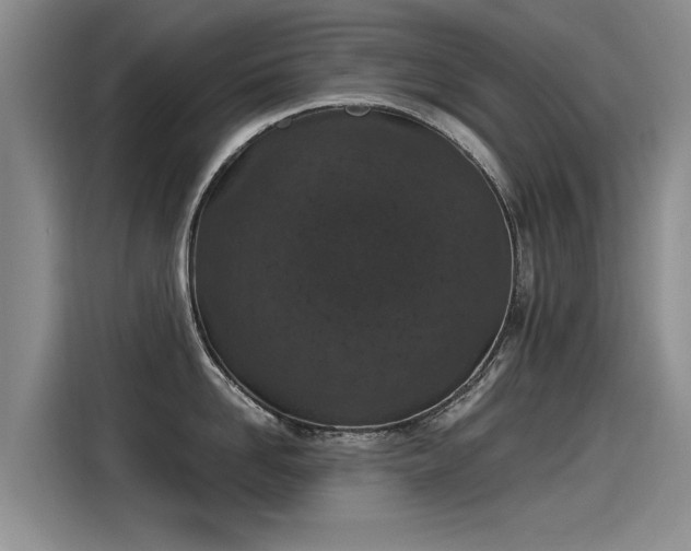 X0000115280958200911061325