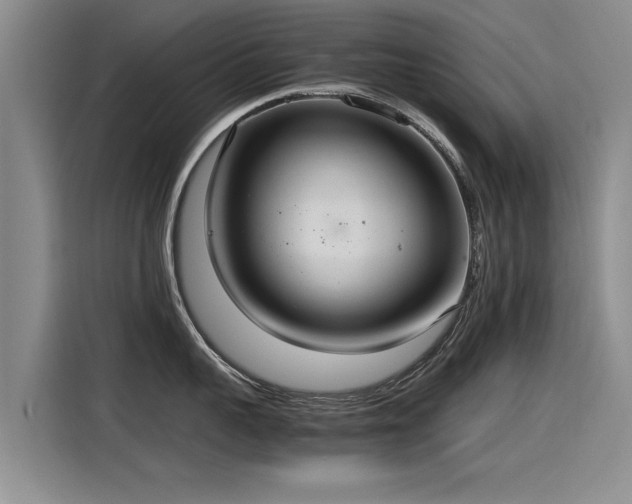 X0000115280959200911061325