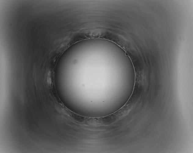 X0000115280962200911061324