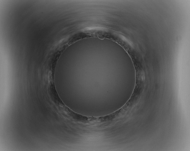 X0000115280965200911061324