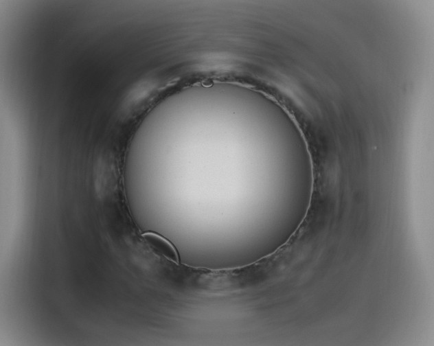 X0000115280967200911061324