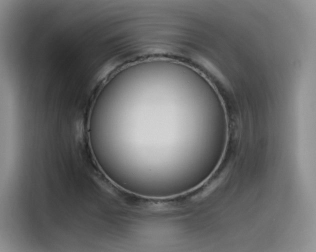 X0000115280969200911061324