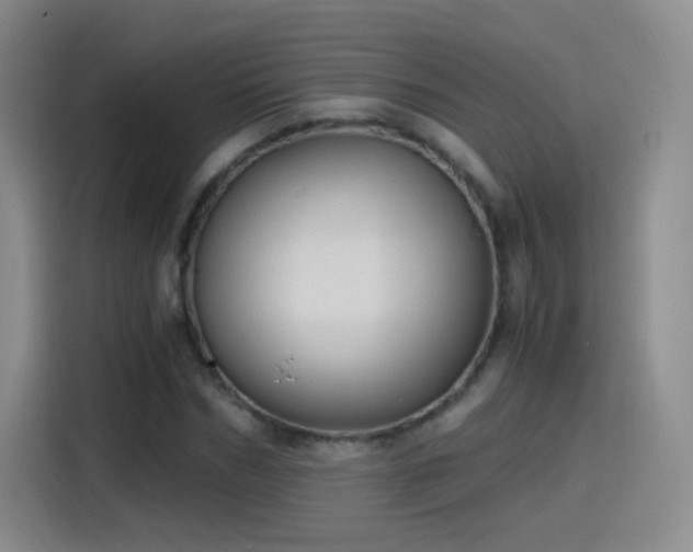 X0000115280970200911061324