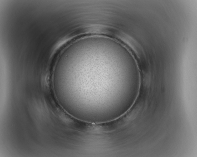 X0000115280971200911061324